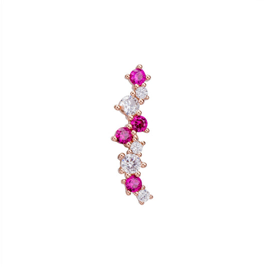 ANNE R CLIMBING EARRINGS