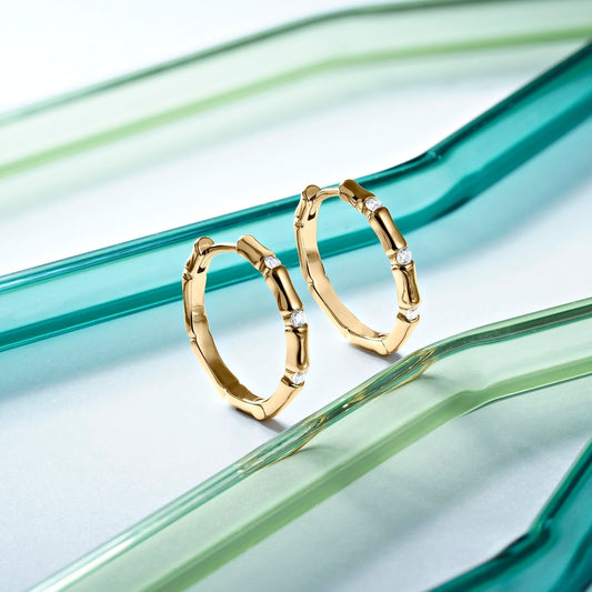 AROS NEW YORK HOOPS